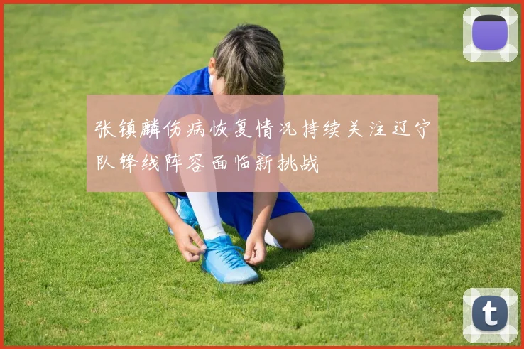 张镇麟伤病恢复情况持续关注辽宁队锋线阵容面临新挑战